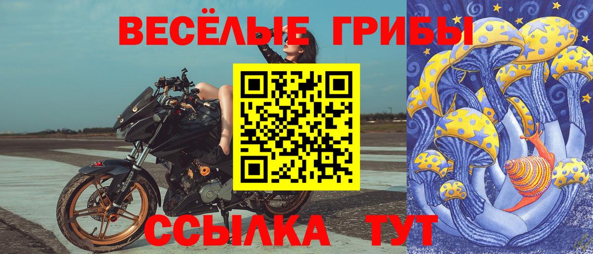 Изобильный  Псилоцибиновые грибы прущие грибы  Галлюциногенные грибы GOLDEN TEACHER  Вход с VPN 
